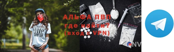 стаф Арсеньев