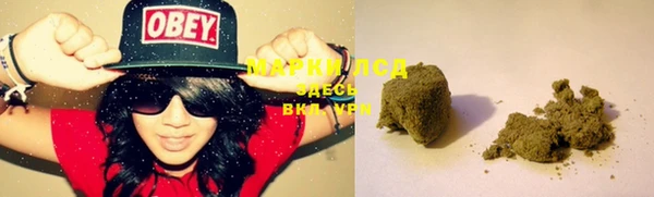 каннабис Аркадак