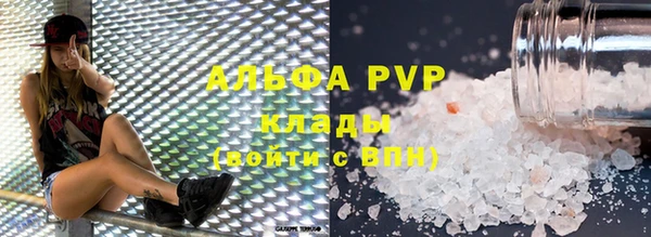 стаф Арсеньев
