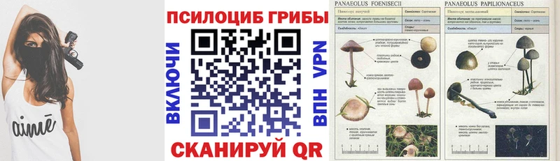 Псилоцибиновые грибы Psilocybe  darknet как зайти  Оханск  сколько стоит  MEGA ССЫЛКА 